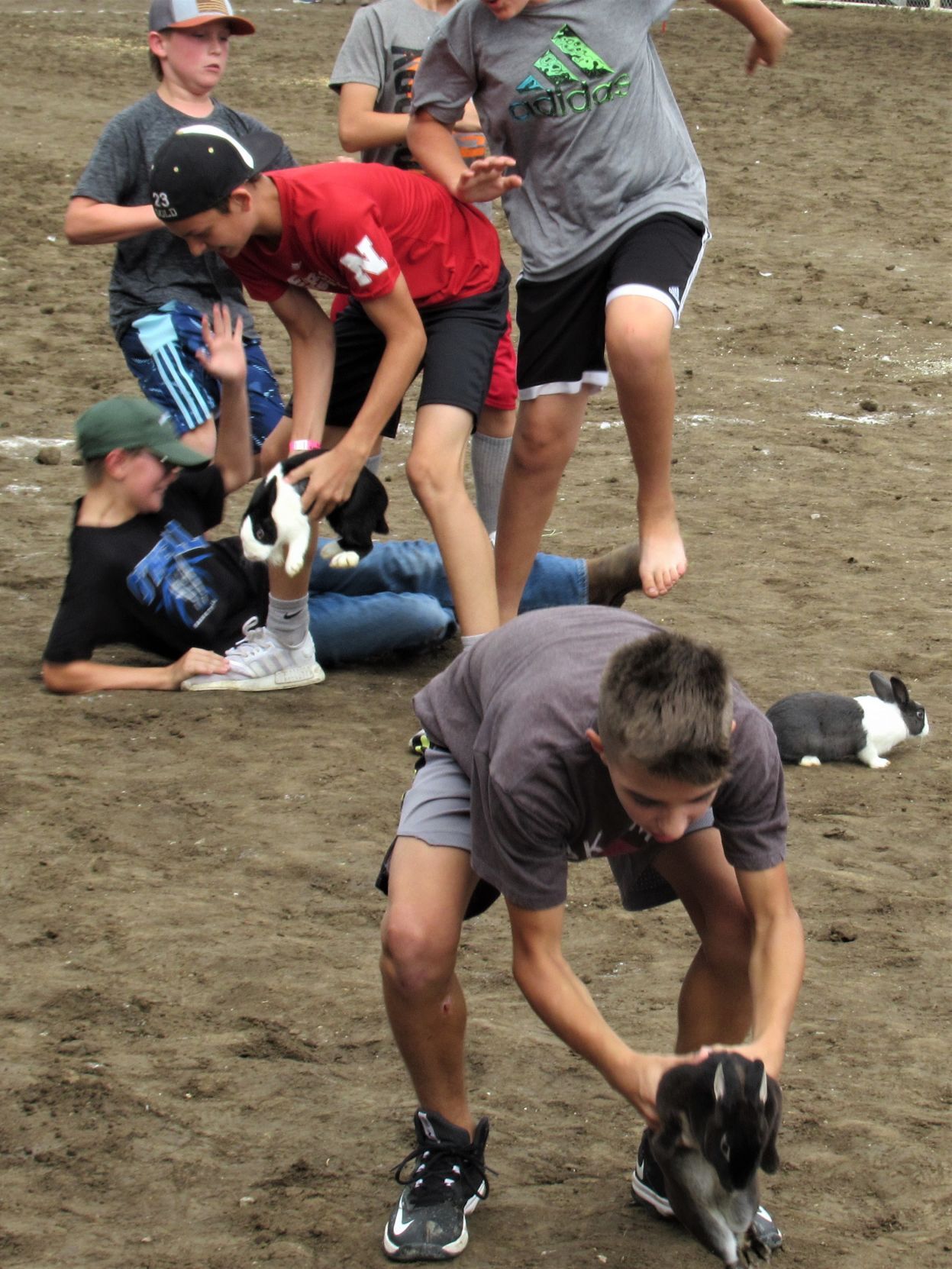 20210811_pt_shr_scf4animalscrambleatb